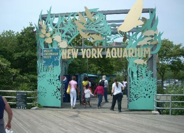 WCSListens – New York Zoos and Aquarium Survey